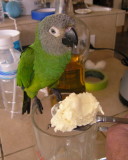 Mojito loves Ice Cream