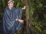 Areial Tram walk Phalic Roots  with guide.JPG