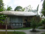 Laguna Lodge Tortuguera 20.JPG