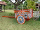 Oxcart Trap 01.JPG