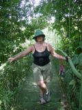 Road to Arenal Swinging Bridge Pat.jpg