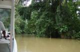 Tortuguera return Boat 020.jpg