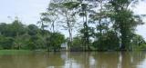 Tortuguera return Boat 013.jpg