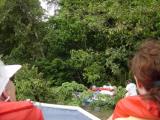 Tortuguera Animal Cruises 04.JPG