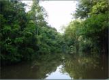 Tortuguera Animal Cruises 59.JPG