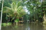 Tortuguera Animal Cruises Exotic Hotel.JPG