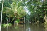 Tortuguera Animal Cruises Exotic Hotel.JPG