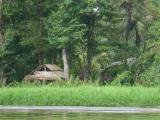 Tortuguera return Boat 009.jpg