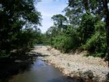 Selva Verde.JPG