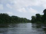 Tortuguero National Park 3-31-06.JPG