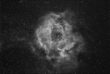The rosette nebula