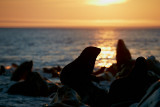 1DX_5503-CA-72.jpg