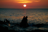 1DX_5586-CA-72.jpg