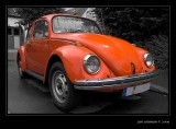 Beetle