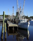 Capt. Nephi at Calabash, NC