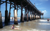 Low tide at the pier