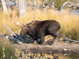 Grand Teton National Park