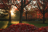 A beautiful fall morning near Princeton