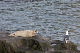 IMG_1461.jpg