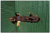 Door latch, Hillsboro Ranch