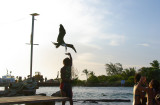 Caye Caulker