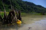 Alegria