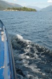 DSC_1728.JPG