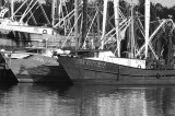 Shrimp Boats