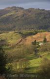 Black Fell - DSC_0820.jpg