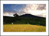 Sunrise over Merapi Mt.