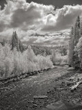 Middle Fork Nooksack River II