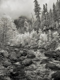 Sauk River