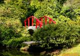 Moon Bridge