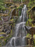 Falls at Mount Rainier