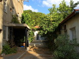 sarona house garden.JPG