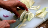 salPC077839 slicing fennel.JPG