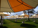 tib umbrellas7.JPG