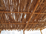 P6251365_masada sticks roof.jpg