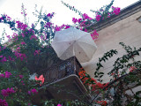 umbrella on balcony.JPG