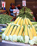 P7161615_corn2.jpg