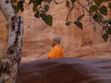PB230032_buddhist monk.jpg