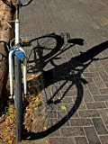 SAM_0190_bike shadow.jpg