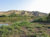 Red Deer River near Jenner Bridge 1.JPG