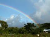 Rainbow near Goodwood 2.JPG