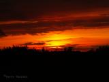 Sunset at fen north of Beaverhill Lake 1.JPG