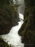 Upper Little Qualicum Falls.jpg