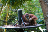 IMG_5946r.jpg