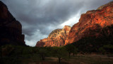 Spring in Zion National Park