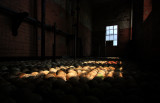 Art in the Bain Water Works