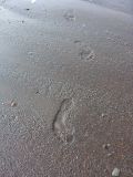 footprints-large.jpg